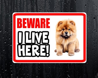 Chow Chow Sticker - Beware I Live Here - Cute House Home Window Door Porch Dog Warning Decal