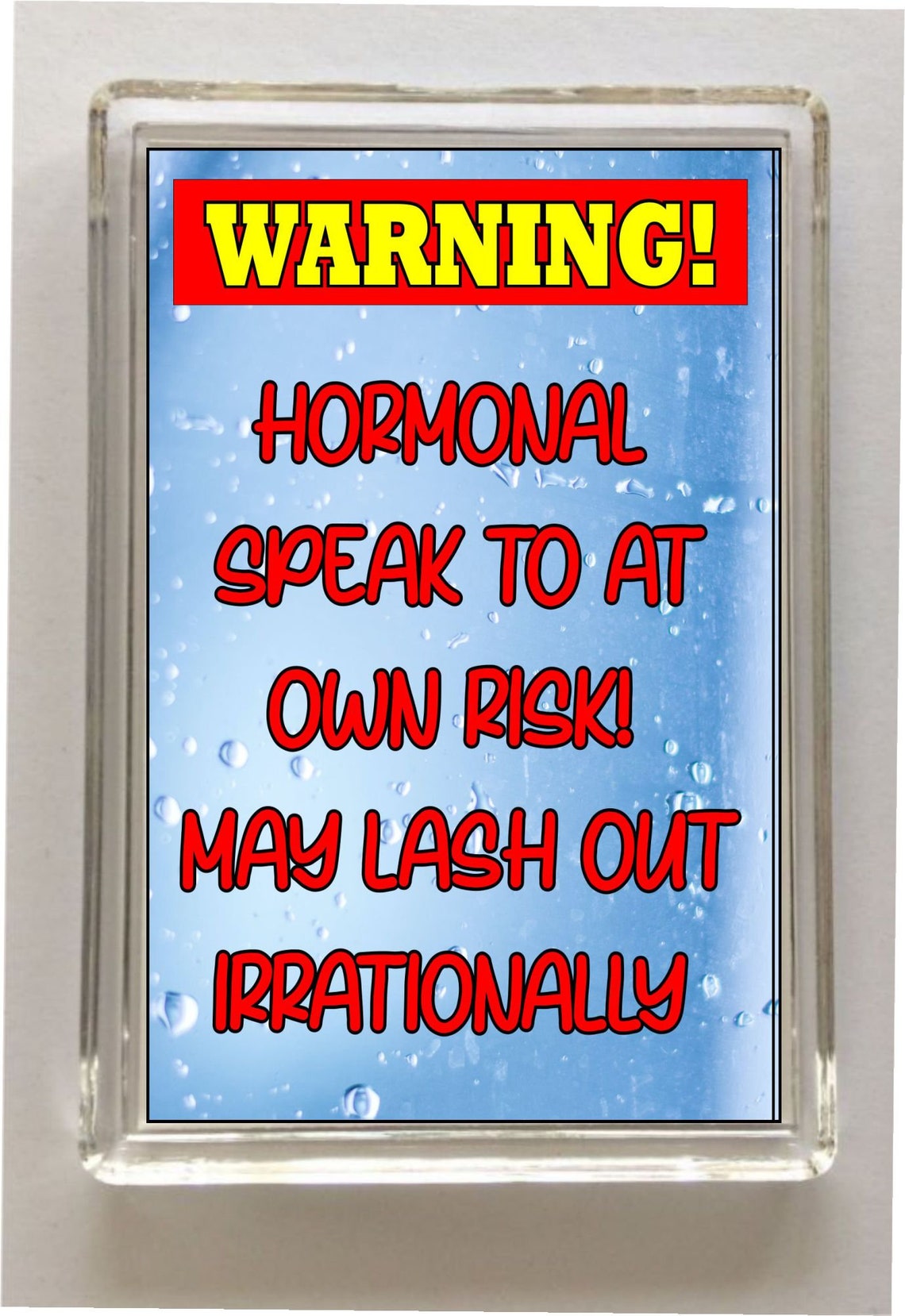 Funny Menopause Fridge Gift Friendship Funny Thank You Etsy UK