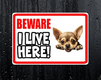 Chihuahua Sticker - Beware I Live Here - Cute House Home Window Door Porch Dog Warning Decal