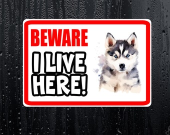 Husky Sticker - Beware I Live Here - Cute House Home Window Door Porch Dog Warning Decal