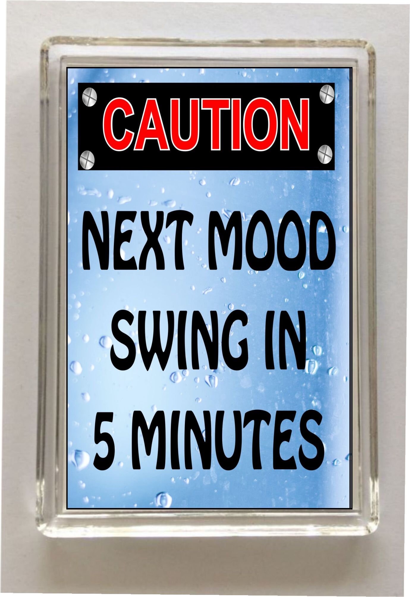 Funny Menopause Fridge Gift Friendship Funny Thank You Etsy UK