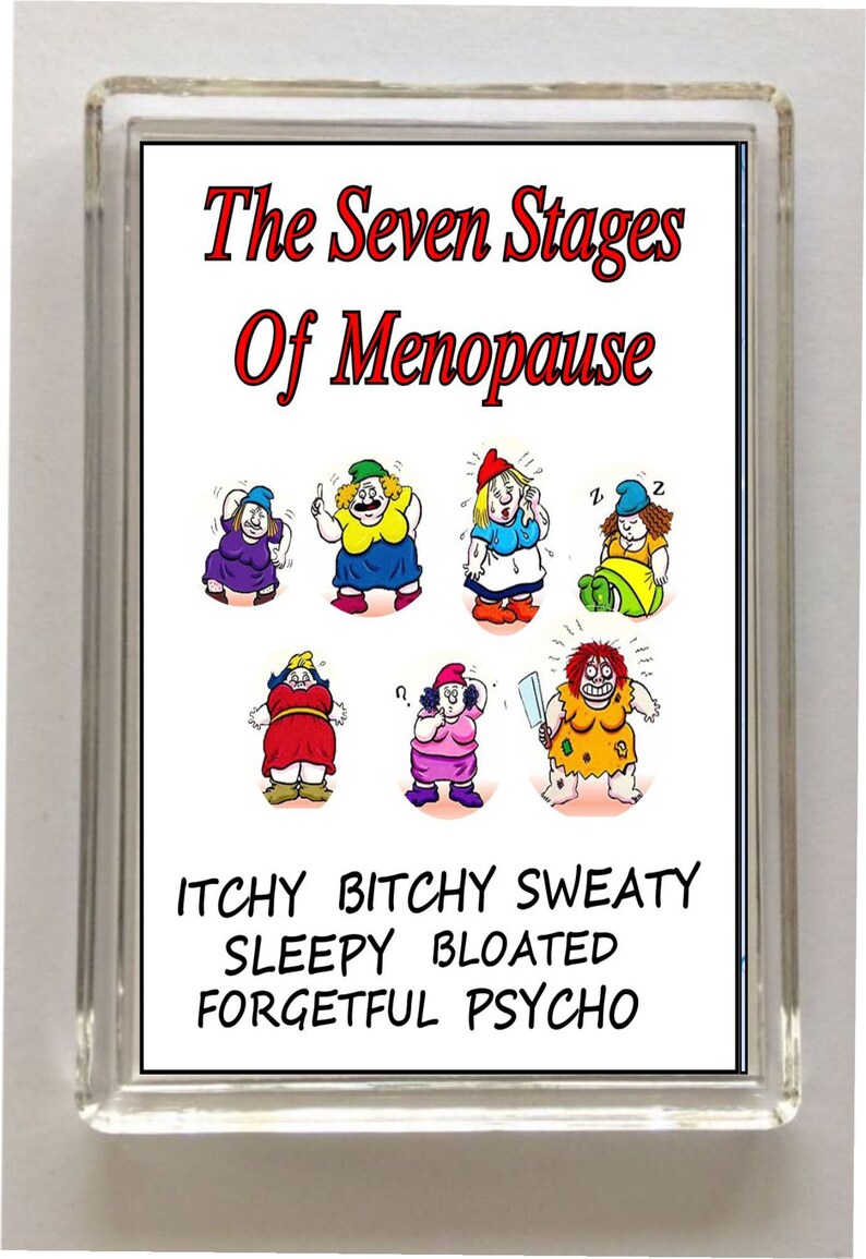 Funny Menopause Fridge Gift Friendship Funny Etsy