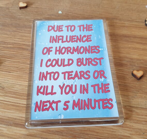 Funny Menopause Fridge Burst Into Tears or Kill Etsy UK