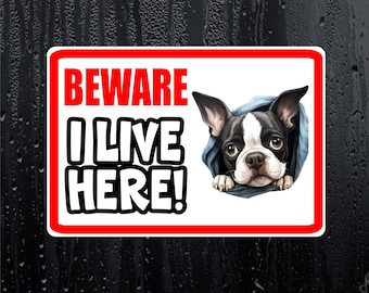 Boston Terrier Sticker - Beware I Live Here - Cute House Home Window Door Porch Dog Warning Decal