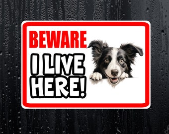 Border Collie Sticker - Beware I Live Here - Cute House Home Window Door Porch Dog Warning Decal