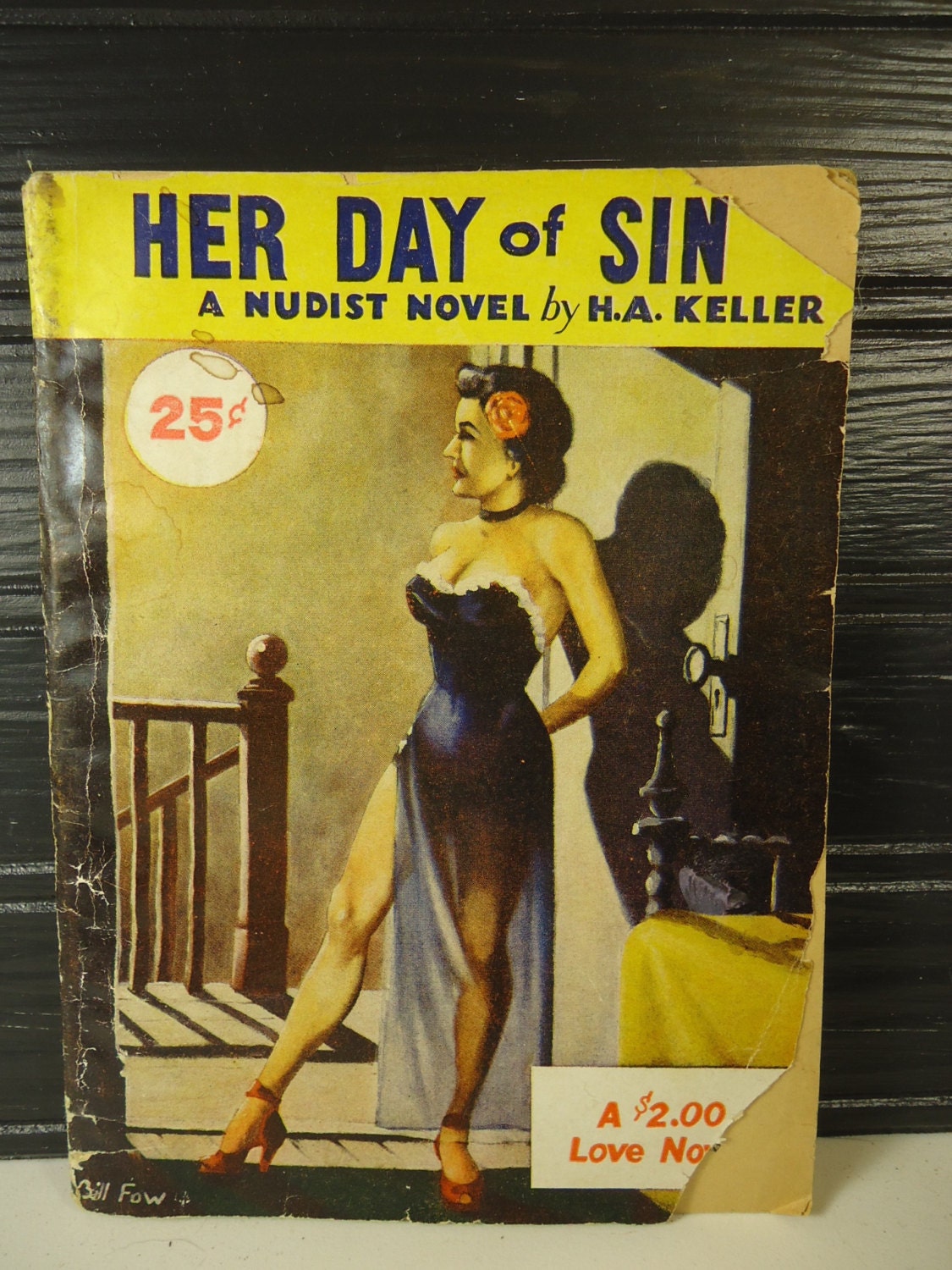 Vintage Book Adult Erotica Her Day of Sin a Nudist Novel 1934 - Etsy