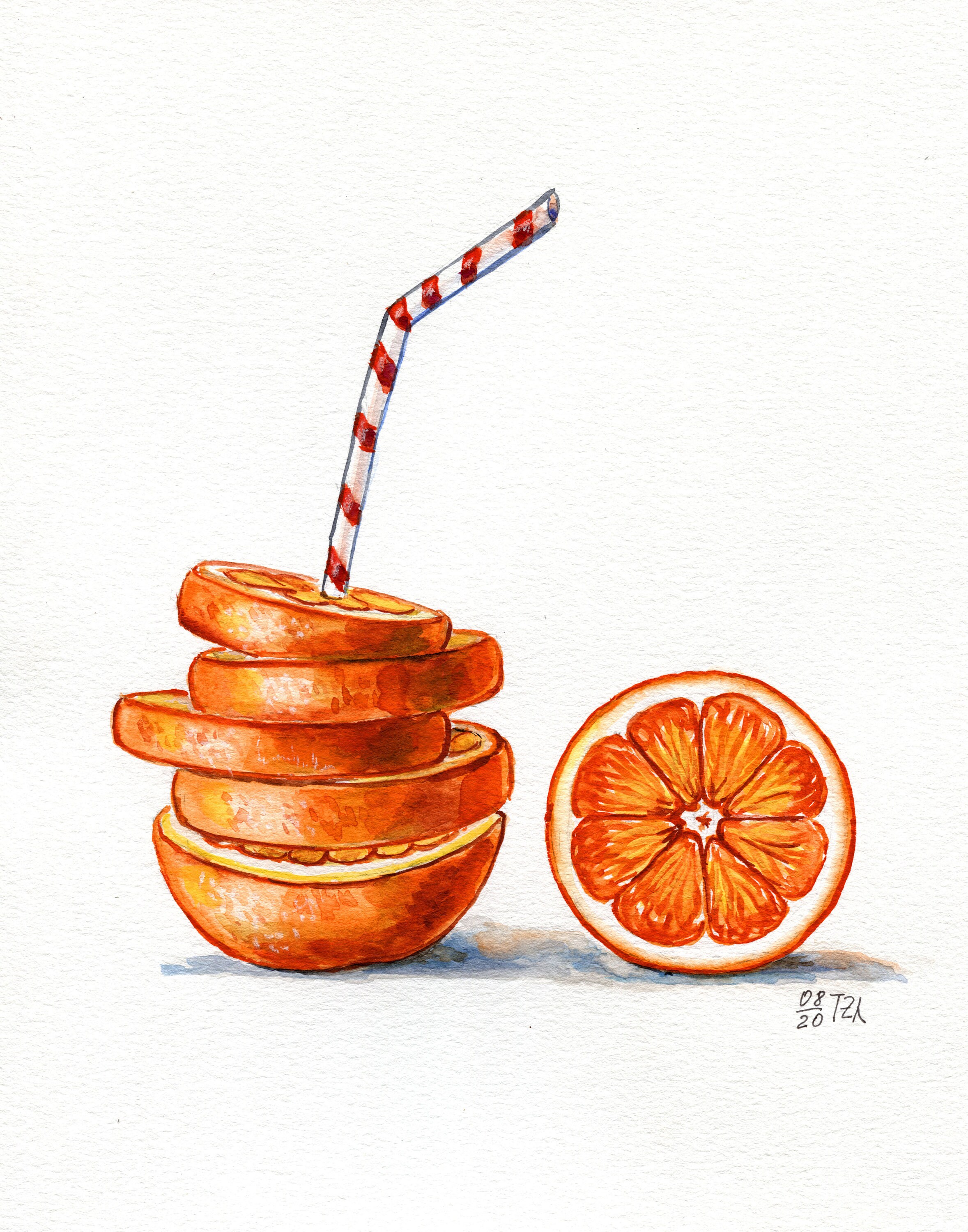 Orange Fruit Wall Art Print Citrus Print Wall Decor Etsy