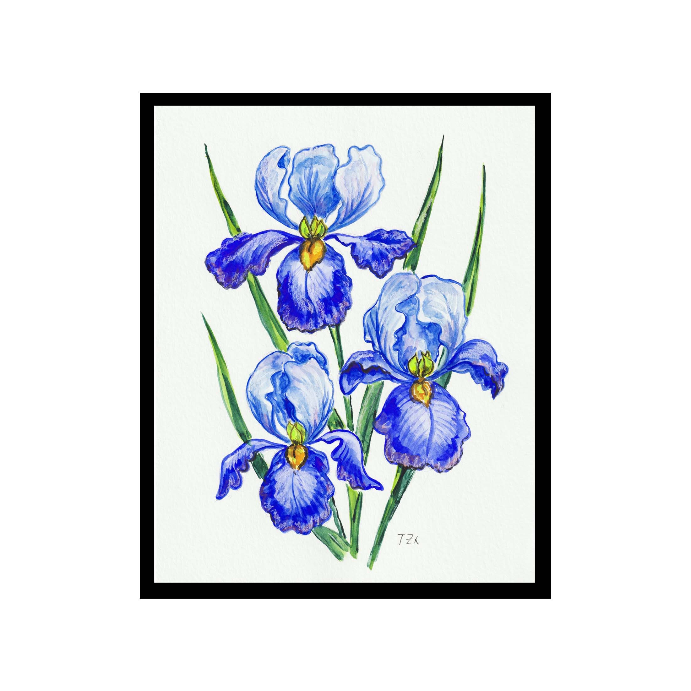 Iris Flowers Watercolor Print Iris Wall Art Print Unframed Etsy
