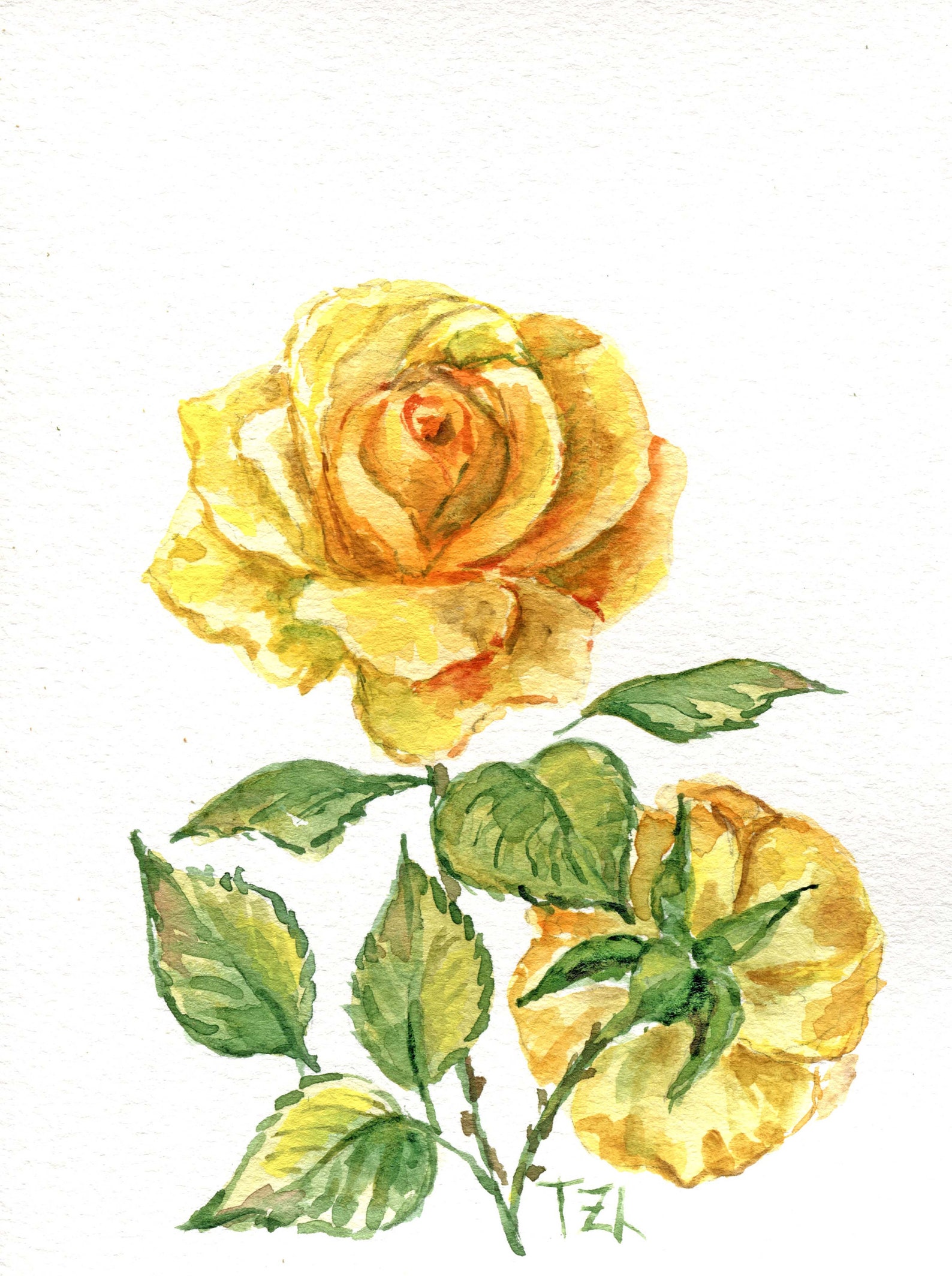 Yellow Roses Flowers Painting Original Watercolor Painting Etsy