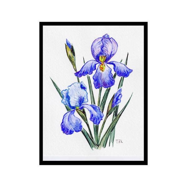 Iris Flower Art Etsy