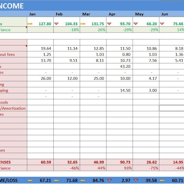 Etsy Shop Net Income Excel Template, Online Seller Year End File, Sales&Expenses Tracker, Tax Filling Report Small Business, Self-employed