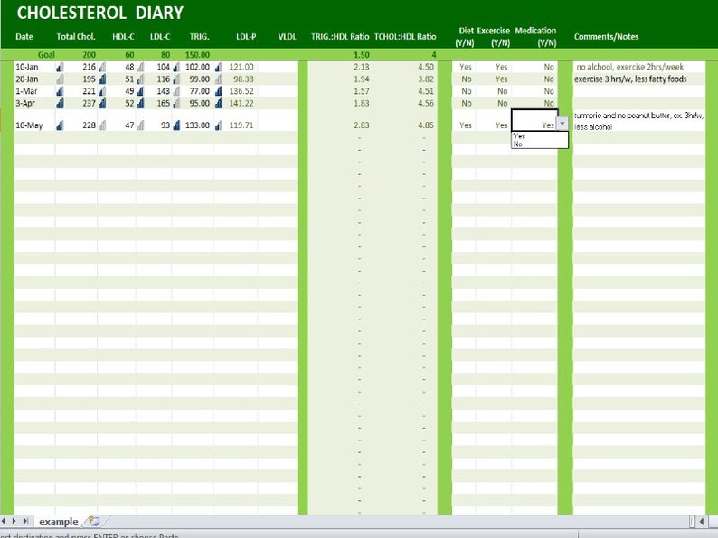Cholesterol Diary Excel Template, Cholesterol Levels Tracker