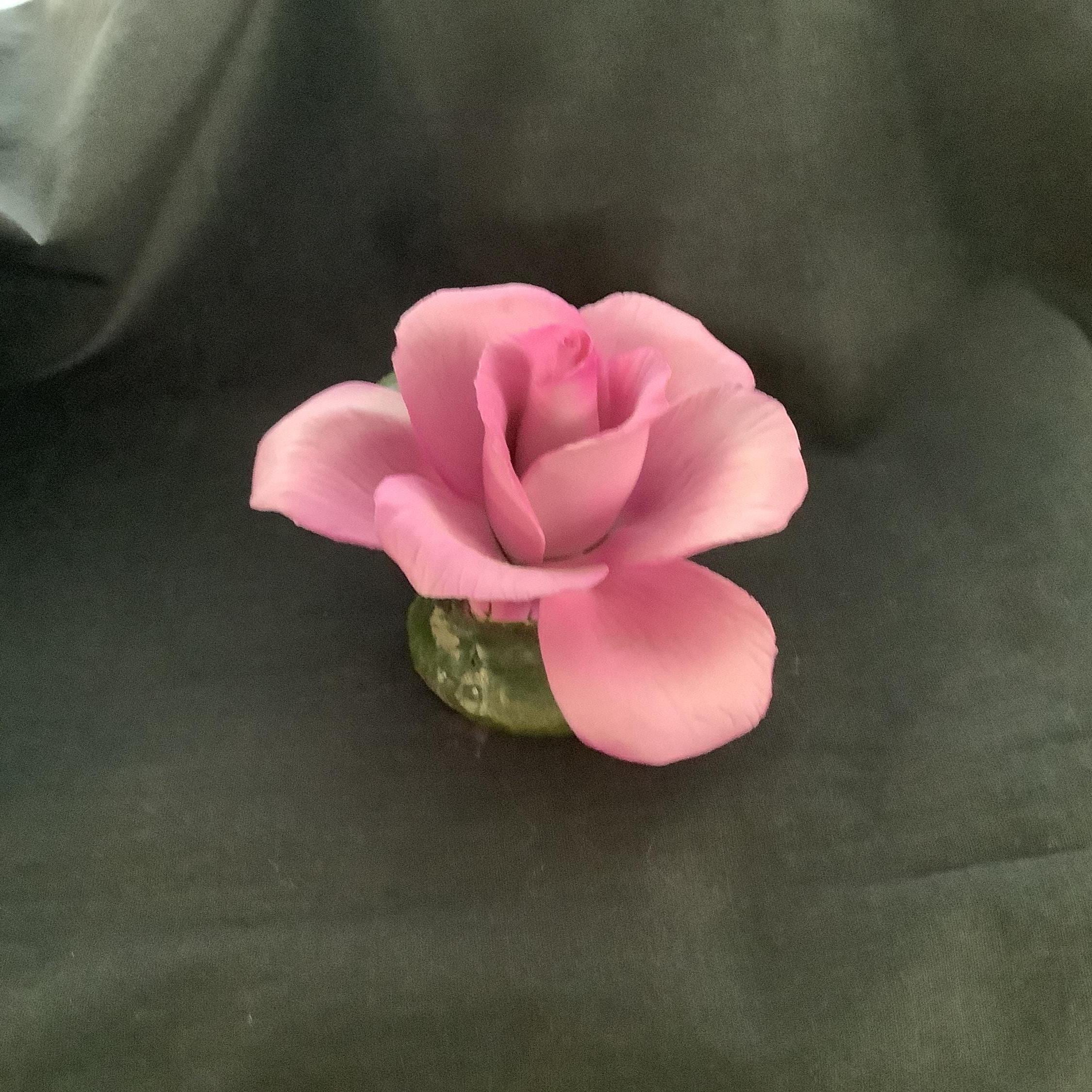 Italy Napoleon Roses - Etsy