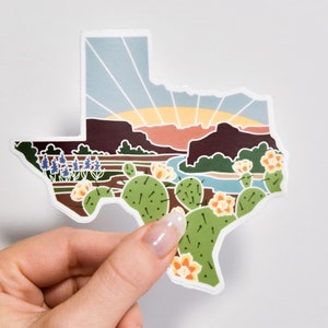 Texas Durable Sticker | High Quality Bumper Sticker | United States Vinyl Decal | Weatherproof Sticker | Water Bottle Sticker | 4&quot;