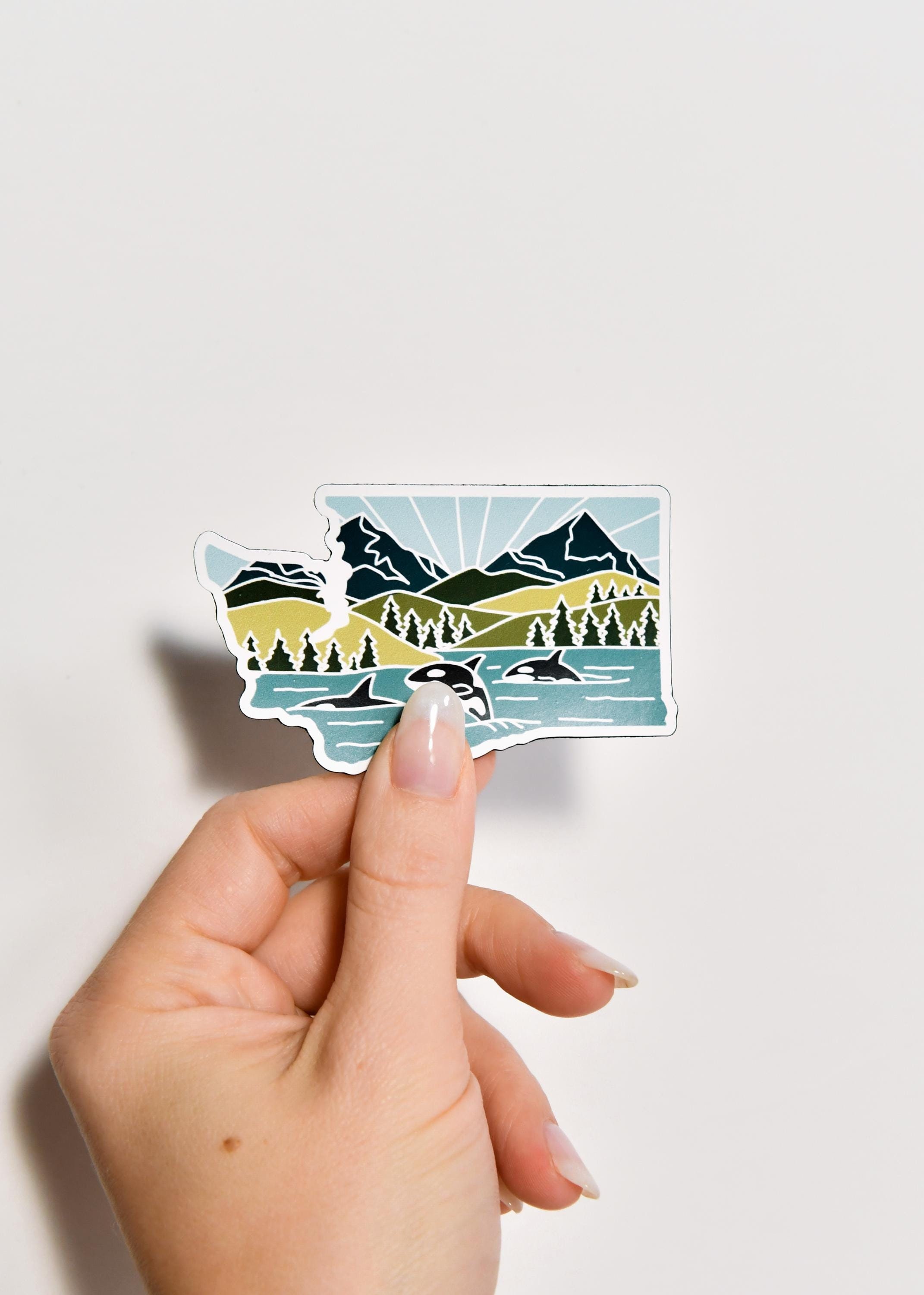 Washington Car Magnet | Weatherproof State Magnet | Outdoorsy Magnet | Washington Gift | Locker Magnet | Fridge Magnet | Decorative Magnet