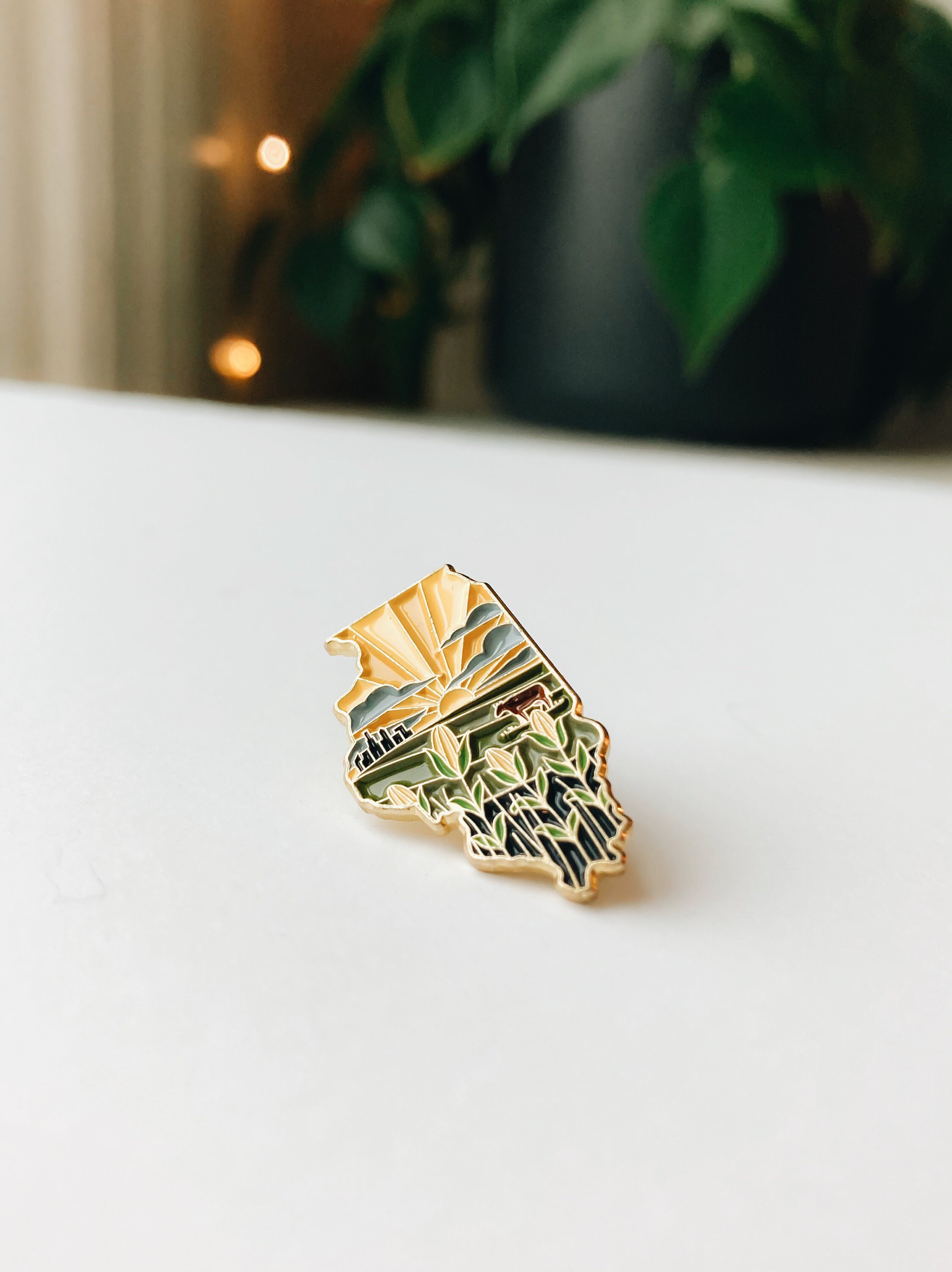 Illinois Enamel Pin | Gold Soft Enamel Pin | Illustrated United States Pin | Butterfly Clasp | 1.25&quot;