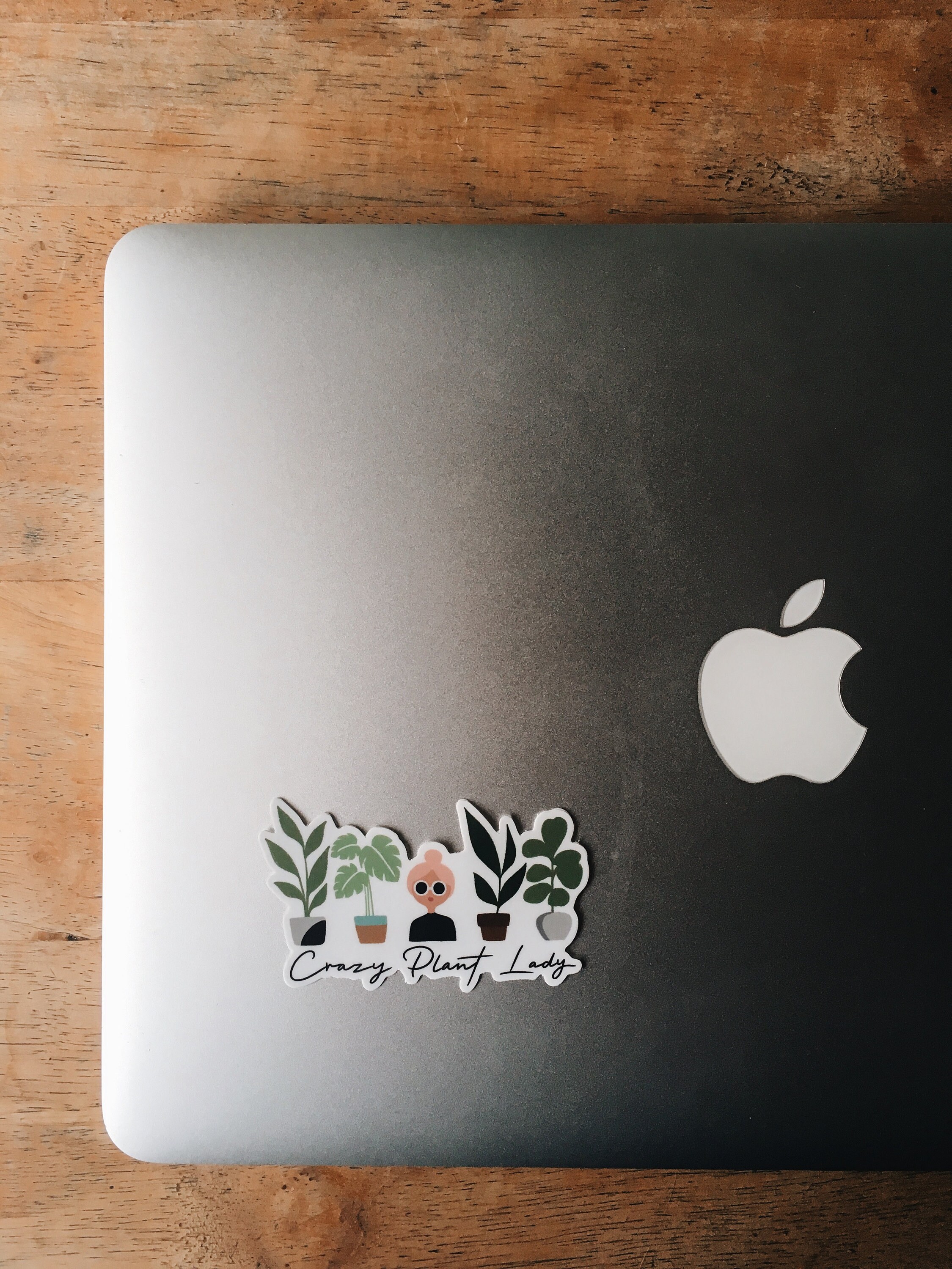 Crazy Plant Lady Durable Sticker | With or Without Text | Plant Lover Decal | Vinyl Weatherproof Decal | Water Bottle Sticker | 3&quot;
