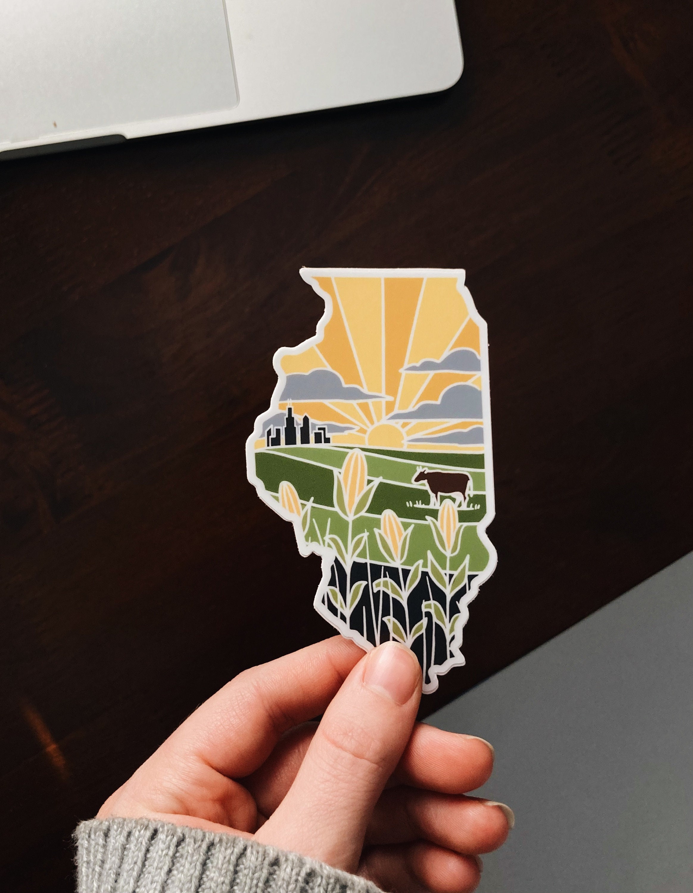 Illinois Durable Sticker | High Quality Bumper Sticker | United States Vinyl Decal | Weatherproof Sticker | Water Bottle Sticker | 4&quot;