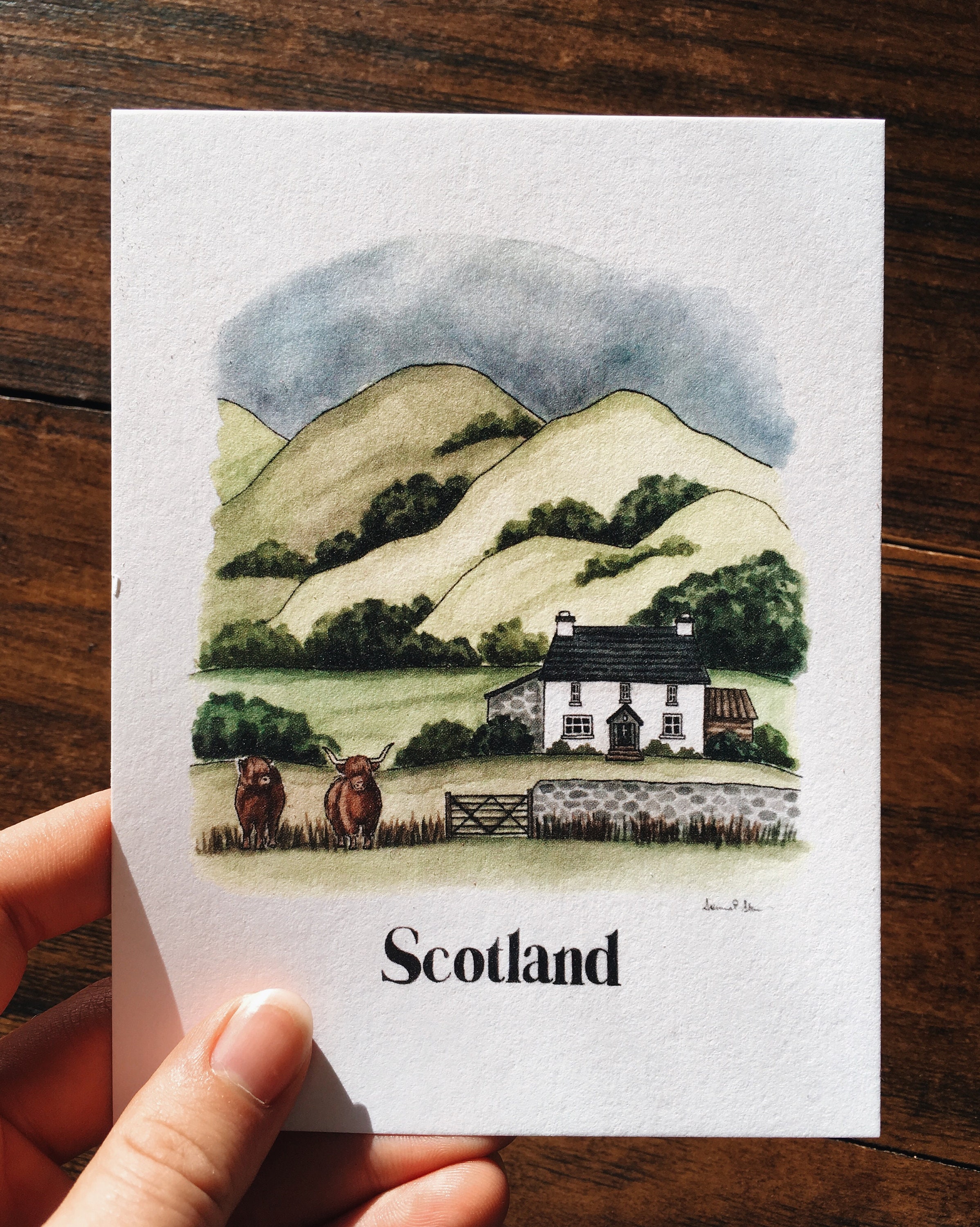 Illustrated Postcard Variety Set | Set of 6 Mix & Match | Watercolor Postcards | Mini Art Prints | Illustrated Stationary