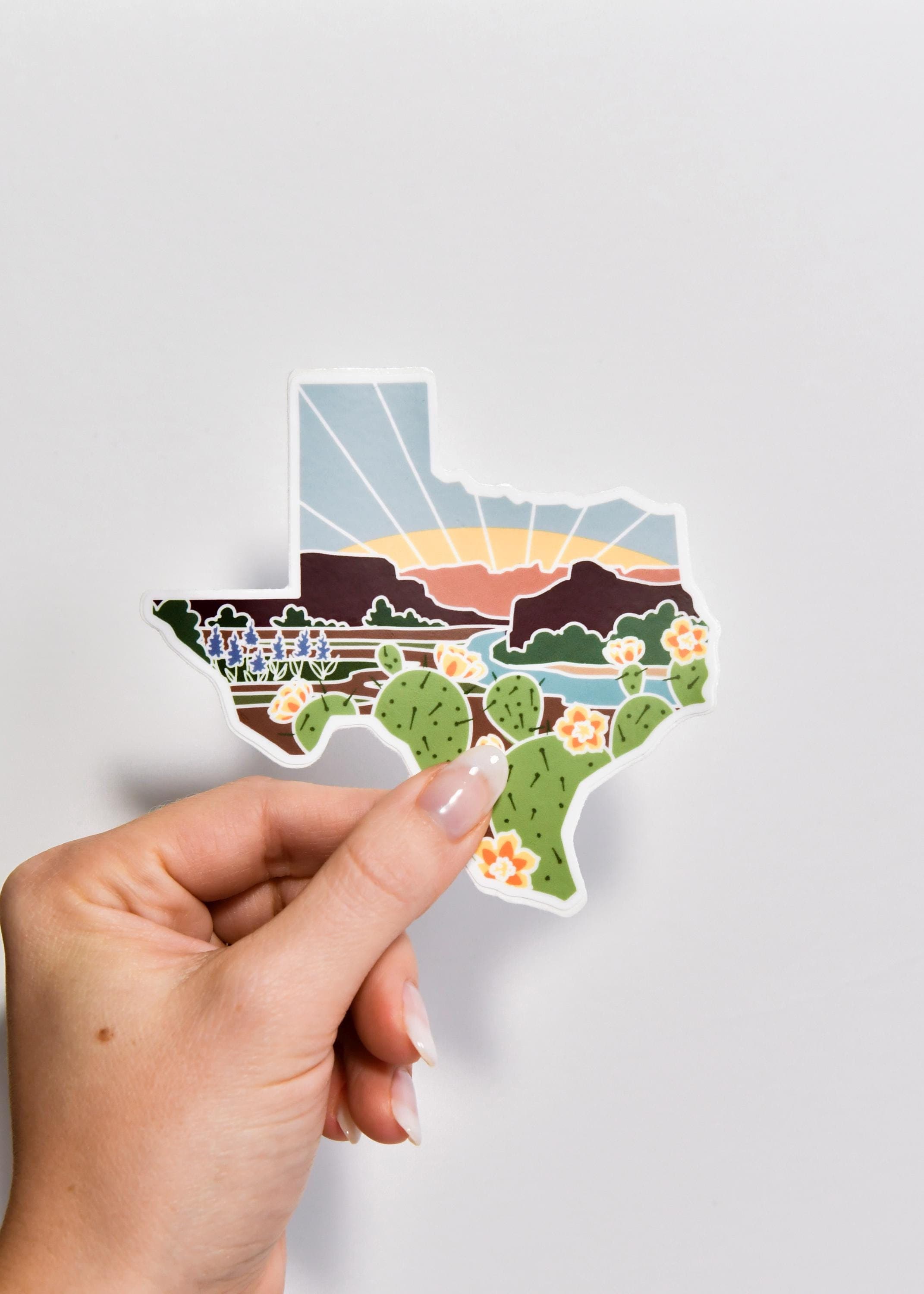 Texas Durable Sticker | High Quality Bumper Sticker | United States Vinyl Decal | Weatherproof Sticker | Water Bottle Sticker | 4&quot;