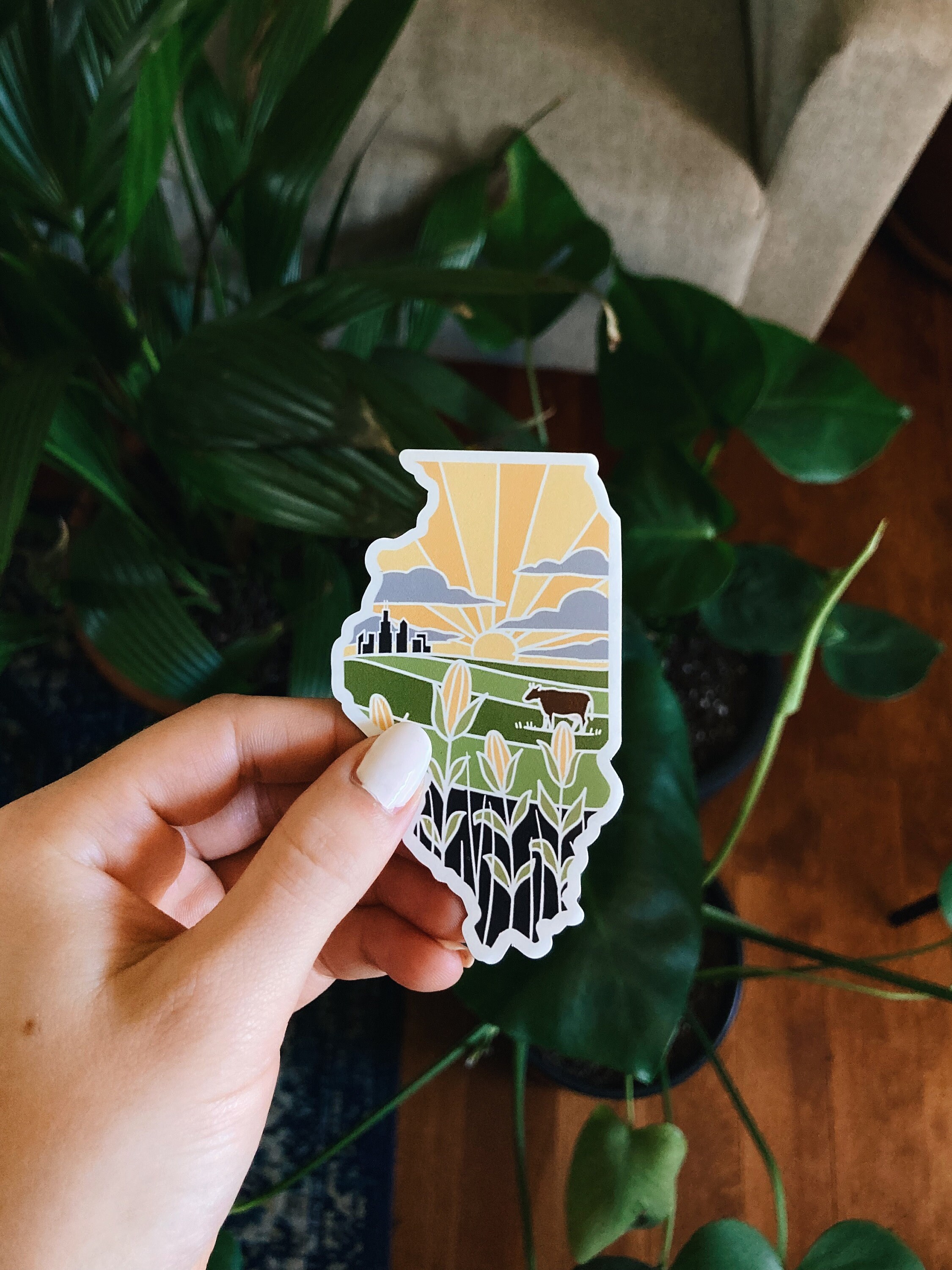 Illinois Car Magnet | Weatherproof State Magnet | Outdoorsy Magnet | Locker Magnet | Fridge Magnet | Weatherproof Magnet | 3&quot; and 3.5&quot;