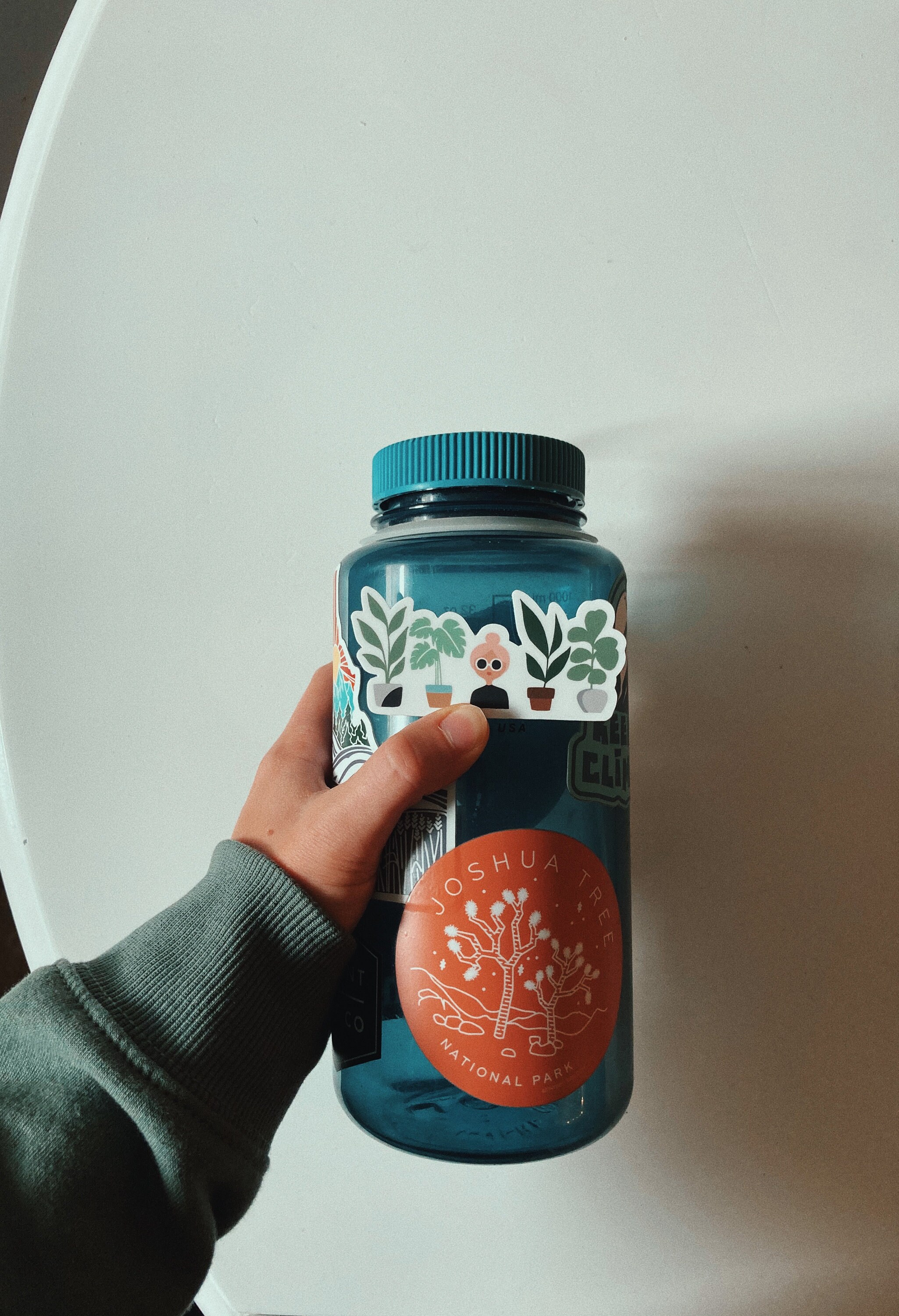 Crazy Plant Lady Durable Sticker | With or Without Text | Plant Lover Decal | Vinyl Weatherproof Decal | Water Bottle Sticker | 3&quot;