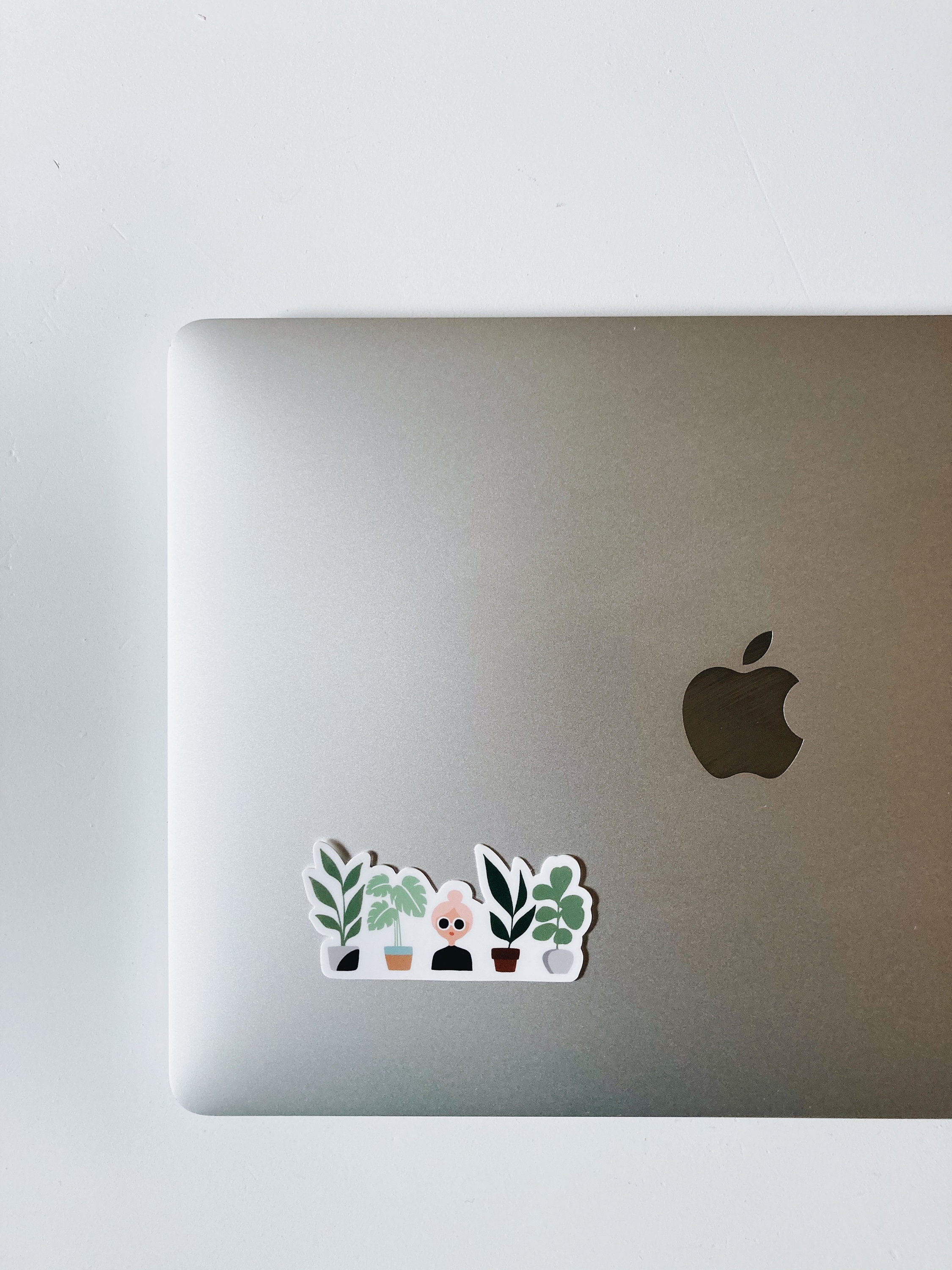 Crazy Plant Lady Durable Sticker | With or Without Text | Plant Lover Decal | Vinyl Weatherproof Decal | Water Bottle Sticker | 3&quot;