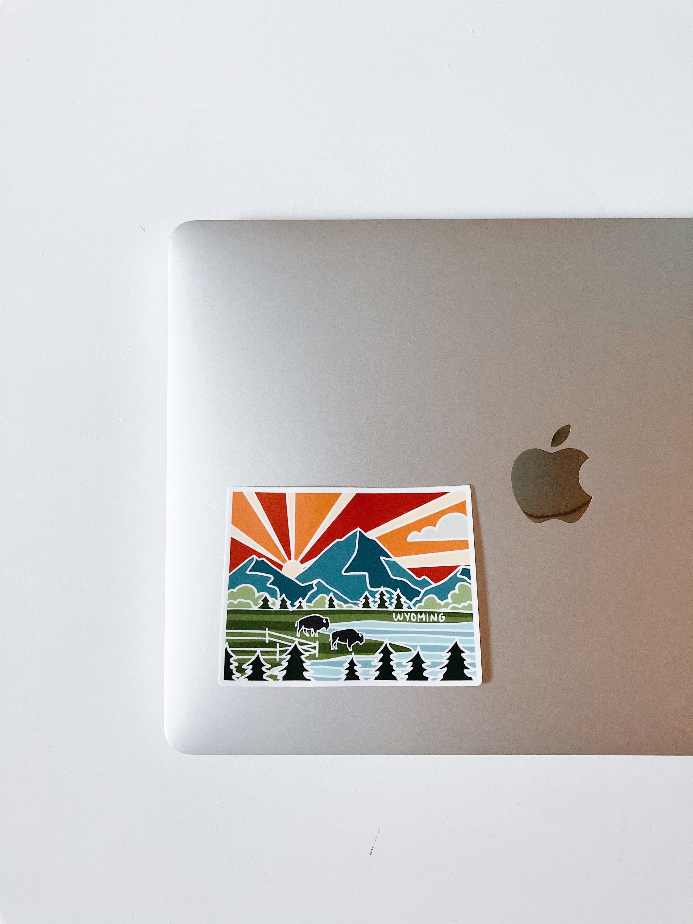 Wyoming Durable Sticker | High Quality Bumper Sticker | United States Vinyl Decal | Weatherproof Sticker | Water Bottle Sticker | 4&quot;