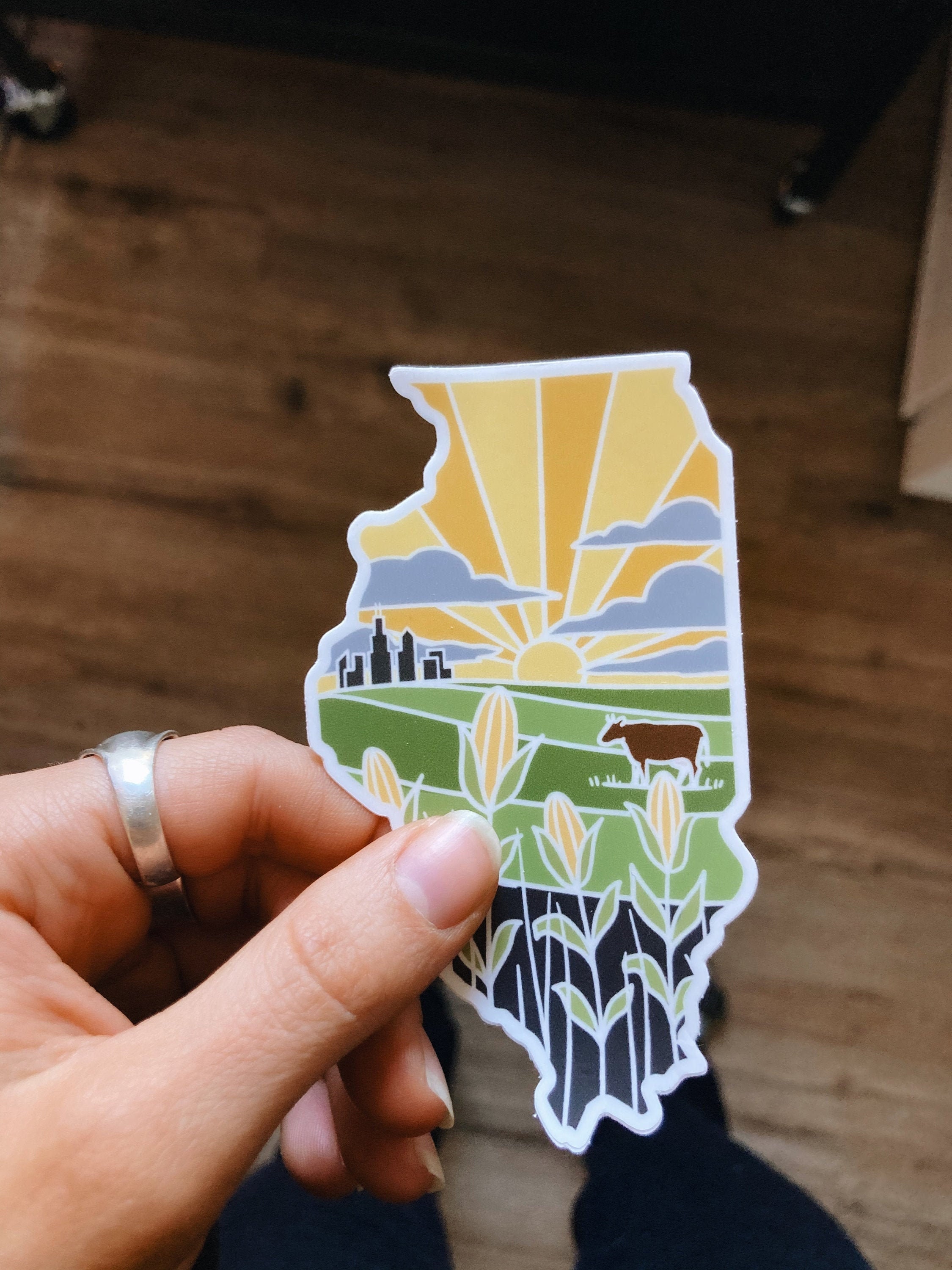 Illinois Durable Sticker | High Quality Bumper Sticker | United States Vinyl Decal | Weatherproof Sticker | Water Bottle Sticker | 4&quot;