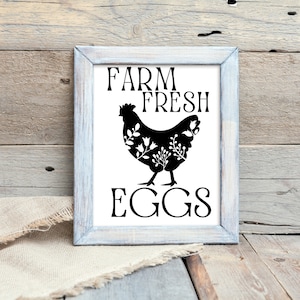 Oeufs de poule frais de la ferme Téléchargement numérique instantané graphique PNG SVG JPEG *