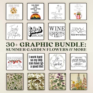 30+ grafische bundel: zomertuinbloemen en meer JPEG PNG SVG direct downloaden