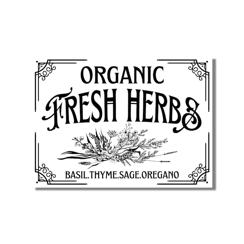 May include: A rectangular white sign with black text and decorative corner elements. The words "ORGANIC FRESH HERBS" are prominently displayed, with "BASIL.THYME.SAGE.OREGANO" at the bottom. A detailed illustration of herbs is in the center.