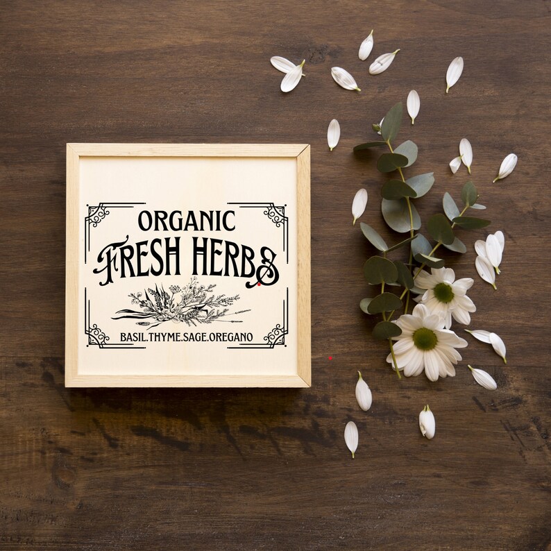 May include: A wooden framed sign with the words "ORGANIC FRESH HERBS" in black lettering. The sign also includes the words "BASIL.THYME.SAGE.OREGANO" and a botanical illustration. White flower petals and greenery are scattered around the sign on a dark wood surface.