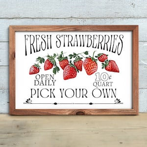 Fraises fraîches de la ferme Téléchargement numérique instantané de fichiers PNG/JPEG - Parfait pour ajouter un charme vintage à votre cuisine