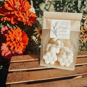 May include: A clear plastic pouch with a brown paper top containing white flower-shaped wax melts. The label reads Rustic Daisy Wax Melts, Pumpkin Souffle, Hand Poured Soy Wax, 3.1 oz. The pouch is filled with several small, solid white wax pieces.
