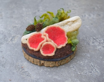 Needle Felted Wool Mushroom Sculpture: Scarlet Elf Cup, Forest Floor Art