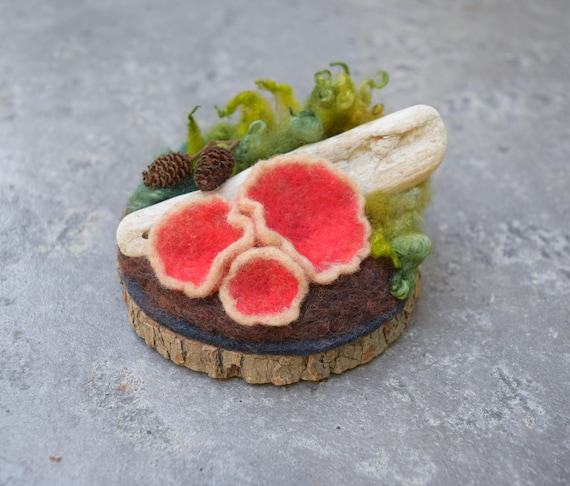 Needle Felted Wool Mushroom Sculpture: Scarlet Elf Cup, Forest Floor Art