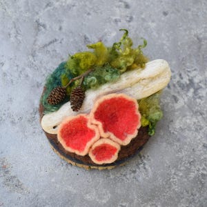 May include: A felted brooch featuring a forest scene. The brooch has red mushrooms, green moss, two small pinecones, and a piece of driftwood. The base is a circular shape with brown, blue, and tan colors.