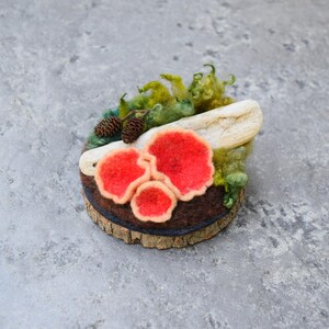 May include: A felted mushroom scene with three red mushrooms with tan edges, set on a wood slice base. Green moss and two small pinecones add detail. A light-colored wooden piece is also included.
