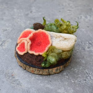 May include: A handcrafted felted mushroom sculpture with vibrant red caps and beige edges, set on a wooden slice base. The artwork includes green moss and a piece of driftwood, creating a miniature forest scene.