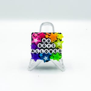 Regenbogen &#39;No Boys erlaubt&#39; Pill Organizer: Lustige sarkastische verblendete Pillendose