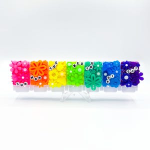 Regenbogen &#39;Mushies & Blumen&#39; Pillenorganizer: Handgemachte Weekly 7 Day XL Pillendose