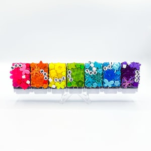 Double Rainbow &#39;Buggies & Flowers&#39; Pill Organizer: Handgemachte Weekly 7 Tage XL Pillendose