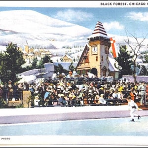 Vintage 1933 Chicago International Expo Worlds Fair Black Forest Postcard