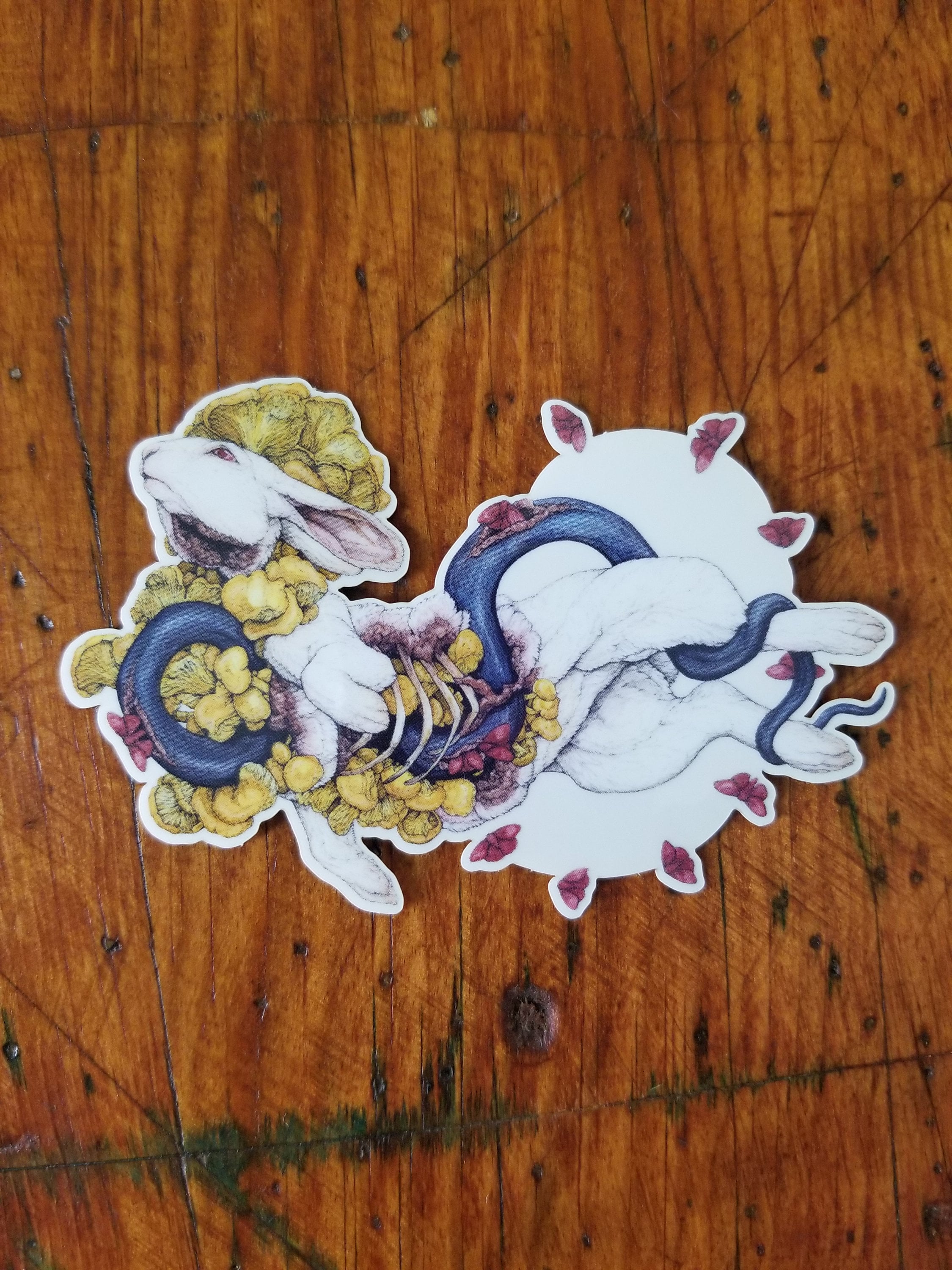 Contemplation of Lepus: Sticker