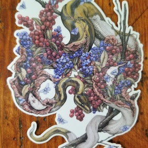 Hypopigmentation: Sticker