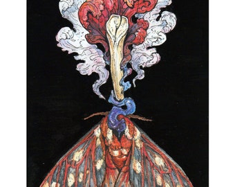 Regal Moth: Limited Edition Print