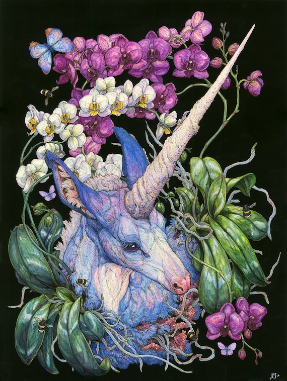 The Orchid Guardian: Limited Edition Print