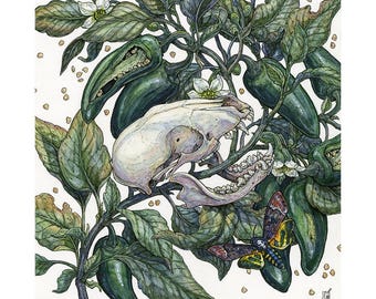 Spicy: Limited Editon Print
