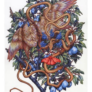 Little Devil in the Plums: Limited Edition Print